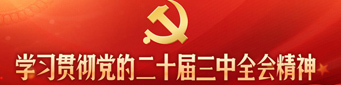 学习贯彻党的二十届三中全会精神